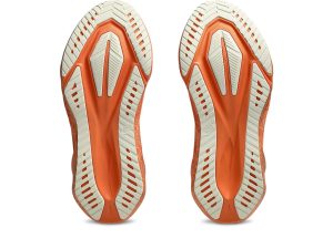 asics-novablast 1013A206-700