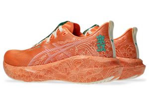 asics-novablast 1013A206-700