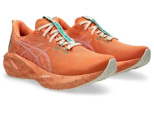 asics-novablast 1013A206-700