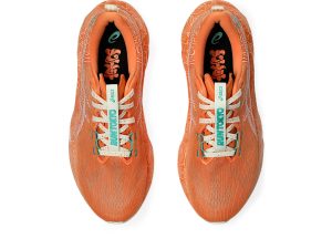 asics-novablast 1013A206-700