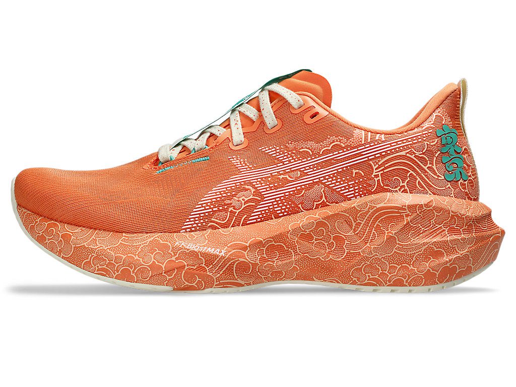 asics-novablast 1013A206-700