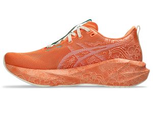 asics-novablast 1013A206-700