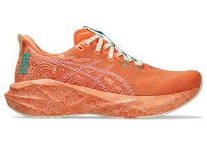 asics-novablast 1013A206-700