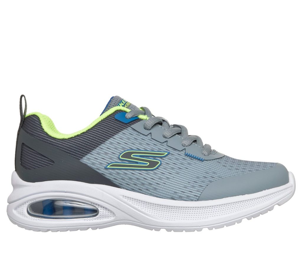 skechers-microspec 404106L_GYCC