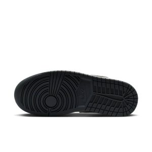 air-jordan-1 II0595-001