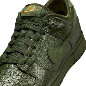 nike-dunk HV4388-300