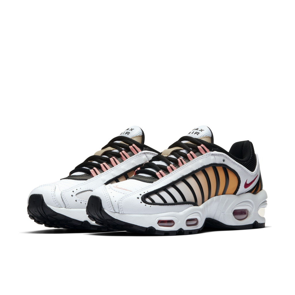 nike-air-max CJ7976 100