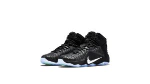 Nike LeBron 12 EXT Rubber City (744286-001)