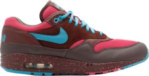 Nike Air Max 1 AMS Parra Amsterdam