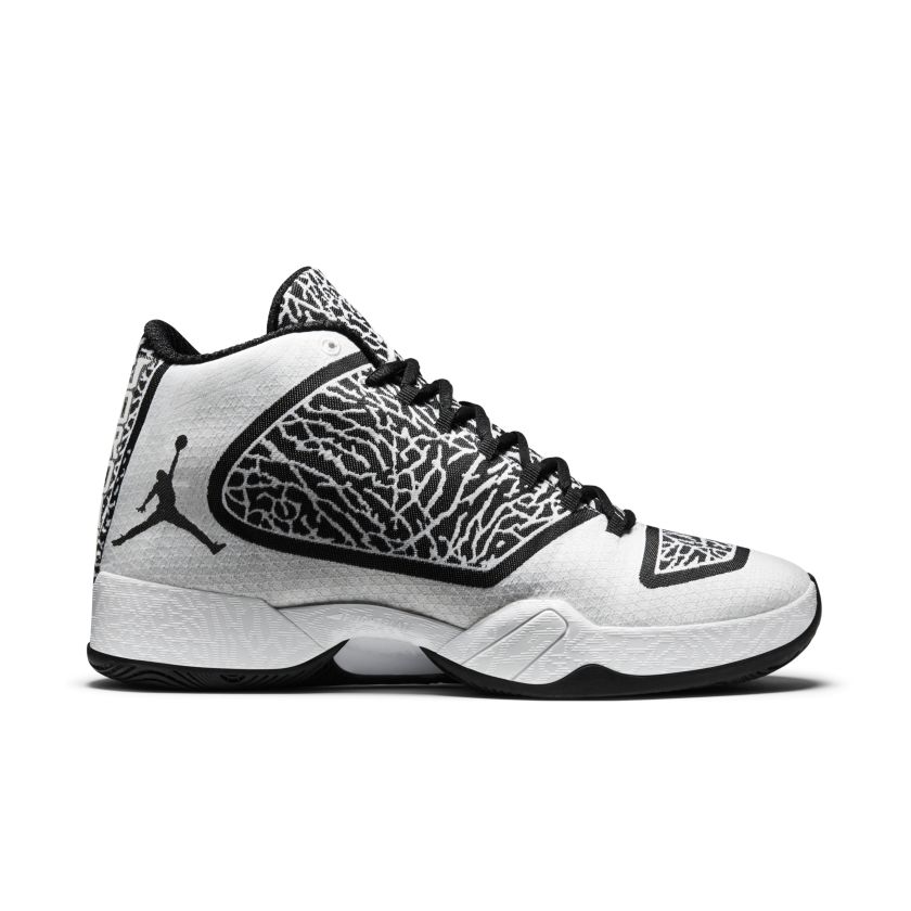 air-jordan-29 695515-070
