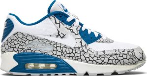 Nike Air Max 90 Hufquake