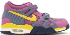 Nike Air Trainer 3 Viotech