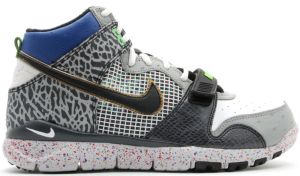 Nike Trainer Dunk High mita