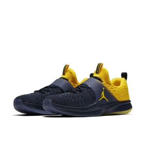 Jordan Trainer 2 Flyknit Michigan