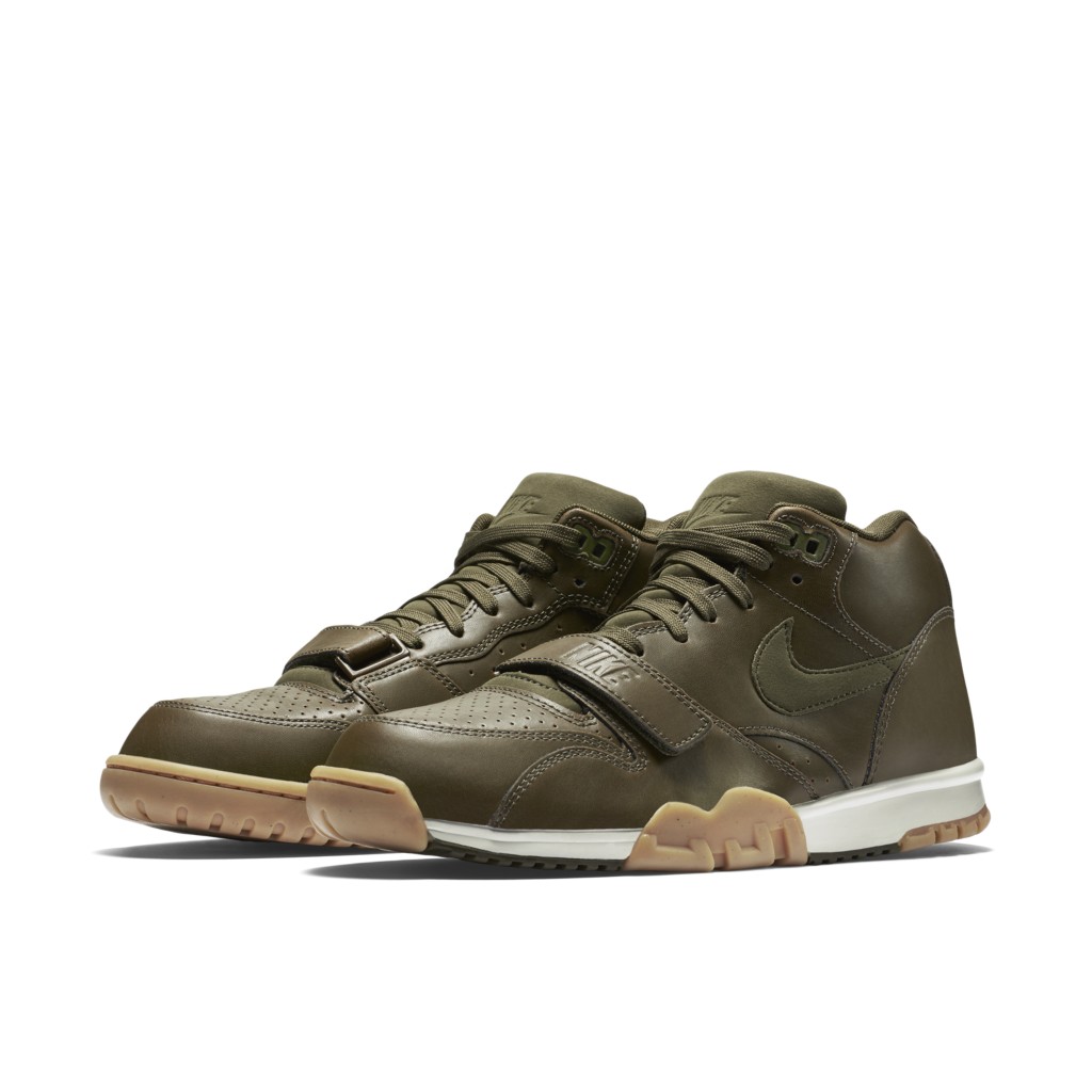 air-jordan-trainer-1 317554-300