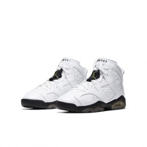 Air Jordan 6 Retro GS Alligator (384665-110)