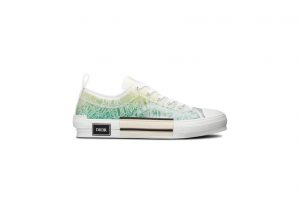 Dior And Shawn B23 Low Top