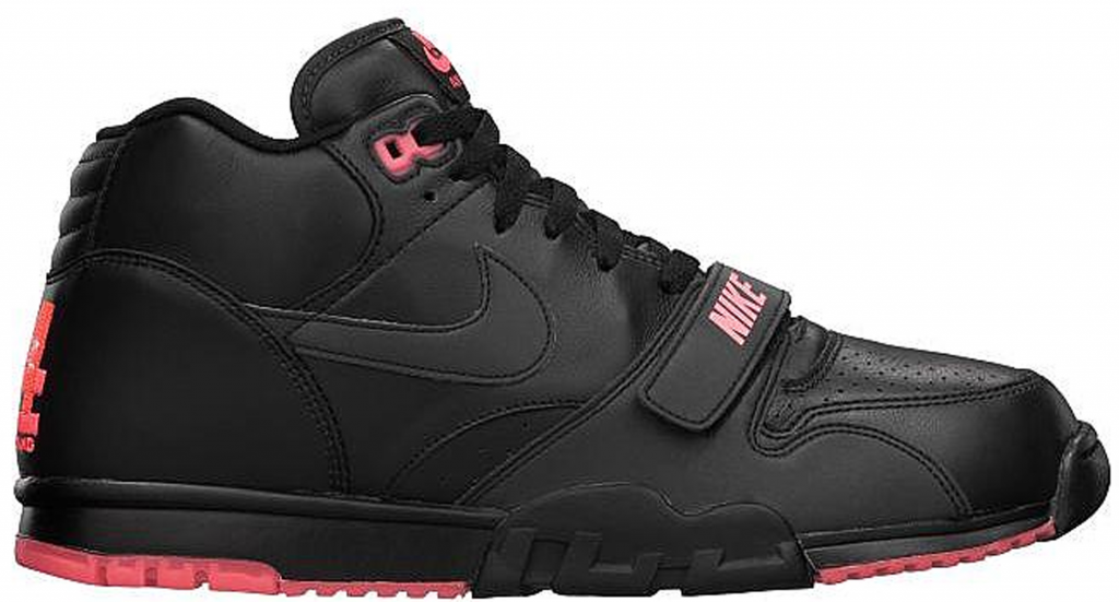 air-jordan-trainer-1 532303-001