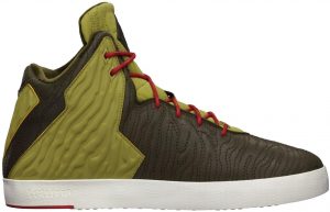 Nike Lebron XI NSW Lifestyle Dark Loden Parchute Gold (616766-300)