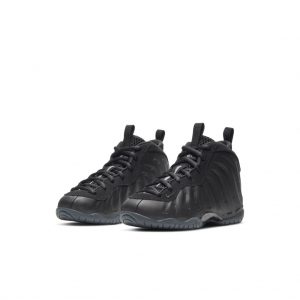 Nike Air Foamposite One Anthracite 2020 (PS)