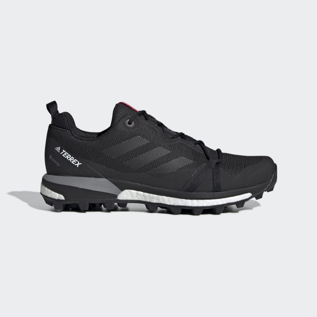 adidas-terrex F36119