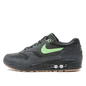 Nike Air Max 1 Hufquake