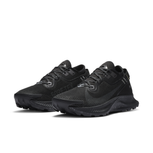 Nike Pegasus Trail 2 GORE-TEX (CU2018-001)