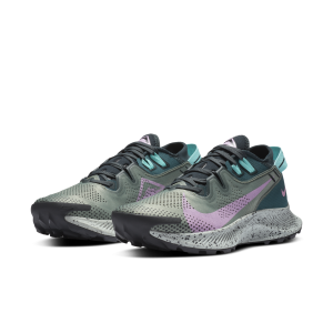 Nike Pegasus Trail 2 (CK4309-300)