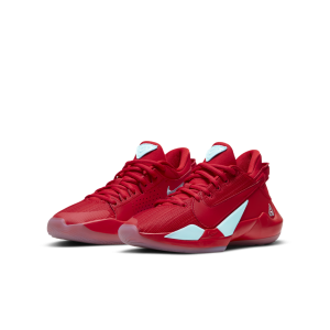 Nike Zoom Freak 2 (GS) (CN8574-605)