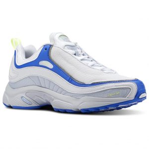Reebok Daytona DMX  (CN3806)