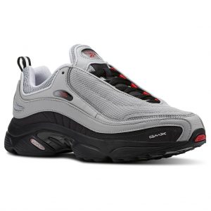 Reebok Daytona DMX  (CN3808)