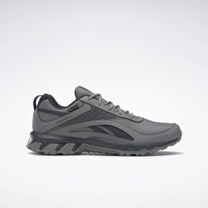 Reebok Ridgerider 6 Gore-Tex Schoenen Spacer Grey / Core Black / Morning Fog