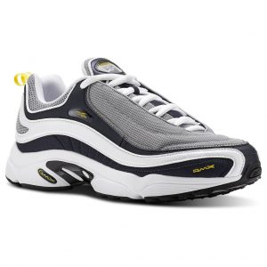 Reebok DMX Daytona White Navy Grey (CN3809)