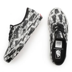 vans-authentic VN0A348A43M