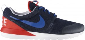 Nike Roshe Run France (GS) (703935-400)