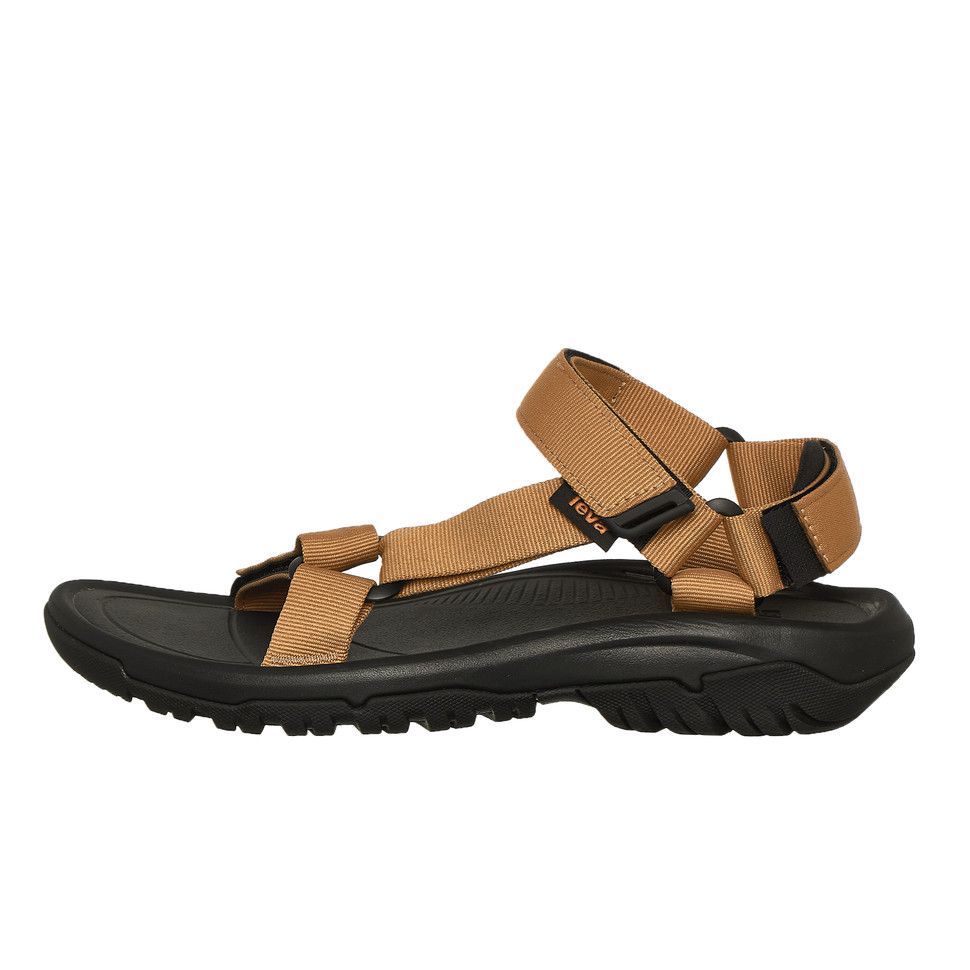 teva-hurricane 1019234-HNYM