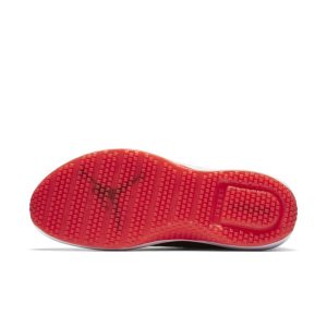 jordan-trainer-1-low 845403-600