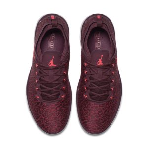 jordan-trainer-1-low 845403-600