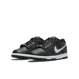 Nike Dunk Low NBA 75th Anniversary Spurs (GS) (DC9560-001)