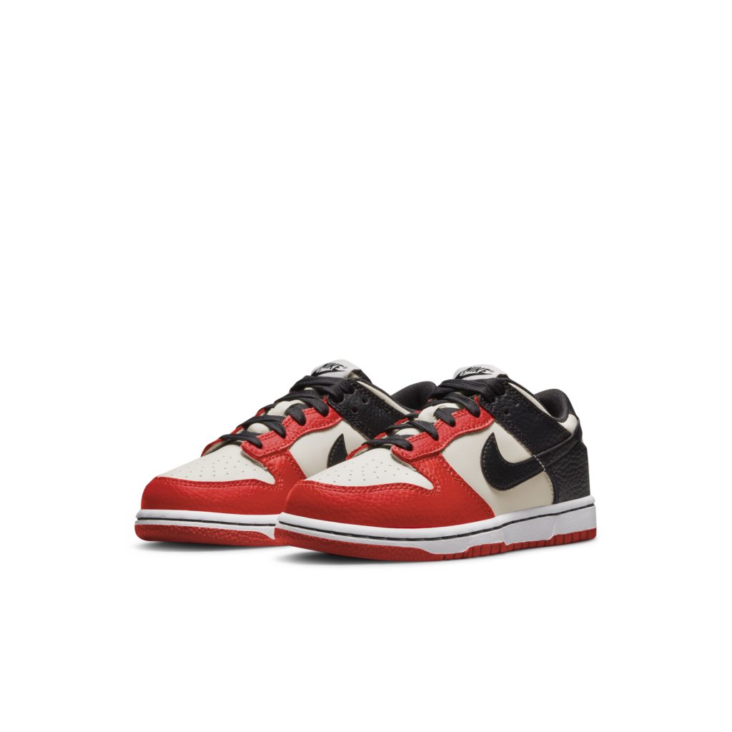 nike-dunk DC9564-100