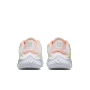 nike-flex DD9283-004