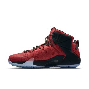 nike-lebron-12 748861-600