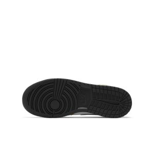 air-jordan-1 DC1420-700