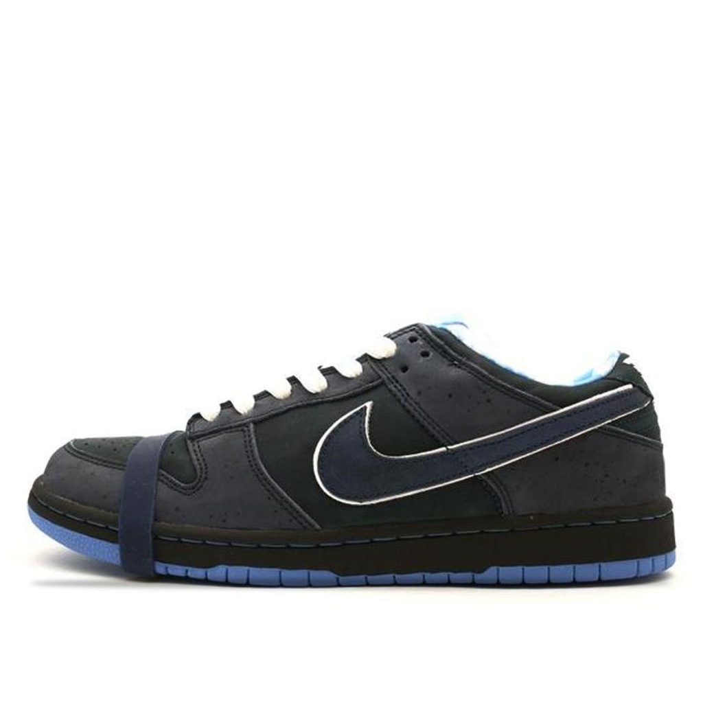 nike-dunk-sb 313170-342