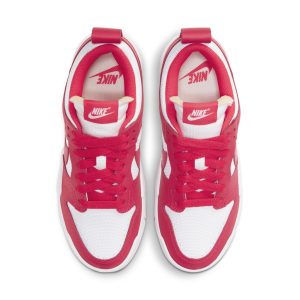 nike-dunk CK6654-601