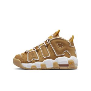 Nike Air More Uptempoen Bruin (DQ4713-700)