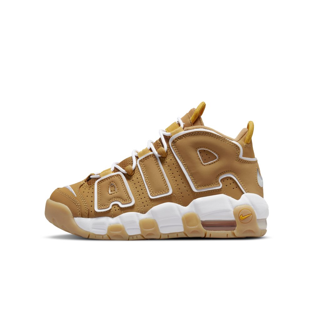 nike-air-more-uptempo DQ4713-700