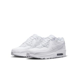 nike-air-max CD6864-100