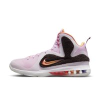 Nike LeBron IXen Roze (DJ3908-600)