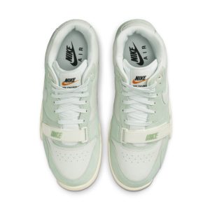 air-jordan-trainer-1 DX4462-300
